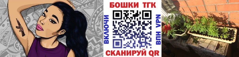 закладки  Каргополь  Бошки марихуана THC 21% 